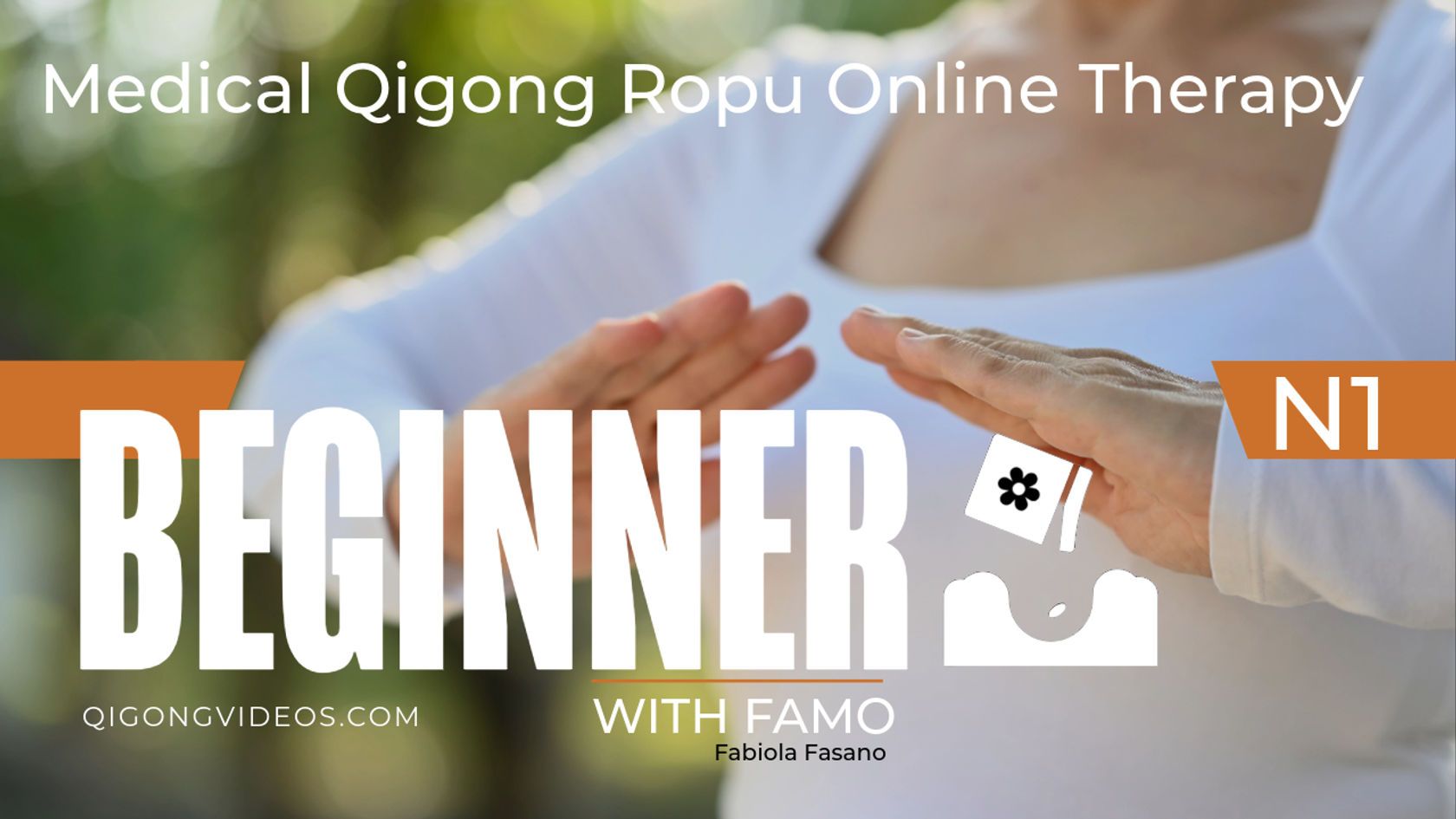 QIGONG VIDEOS